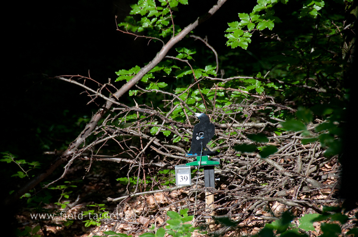 Reduced size for non-positional Targets till 20 m